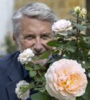 antoine de caunes et sa rose, rose abricot parfumé