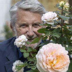 antoine de caunes et sa rose, rose abricot parfumé